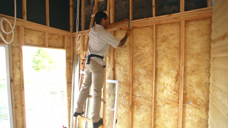 Eco-Friendly or Green Insulation Solutions in Pleasant Ridge, MI